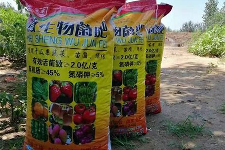 南阳市金谷生物技术有限公司怎么样？