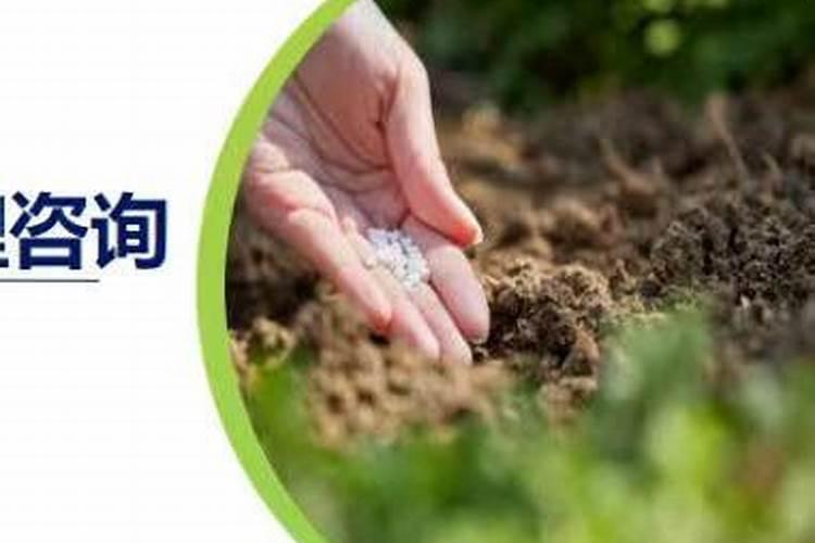 私人办有机肥厂可行吗