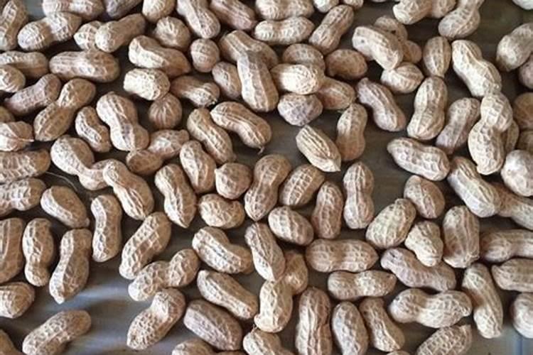 花生皮怎么发酵做肥料