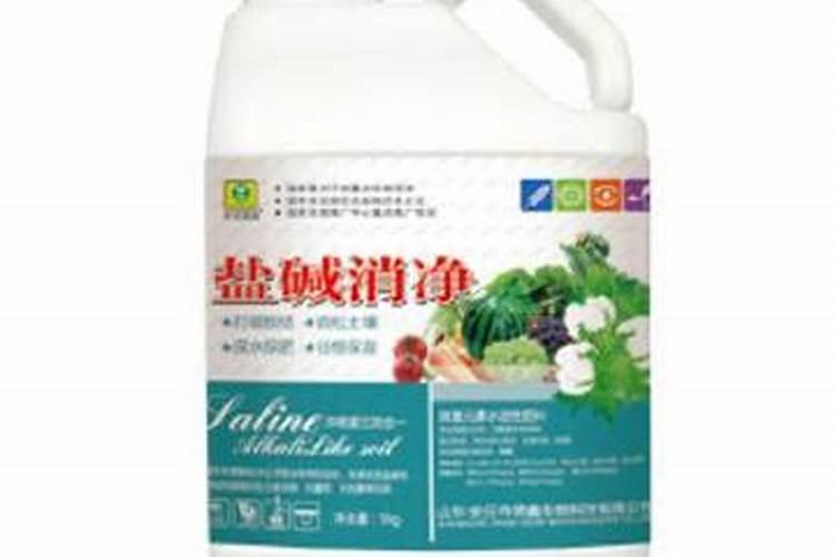 盐碱地种植玉米应采取哪些措施