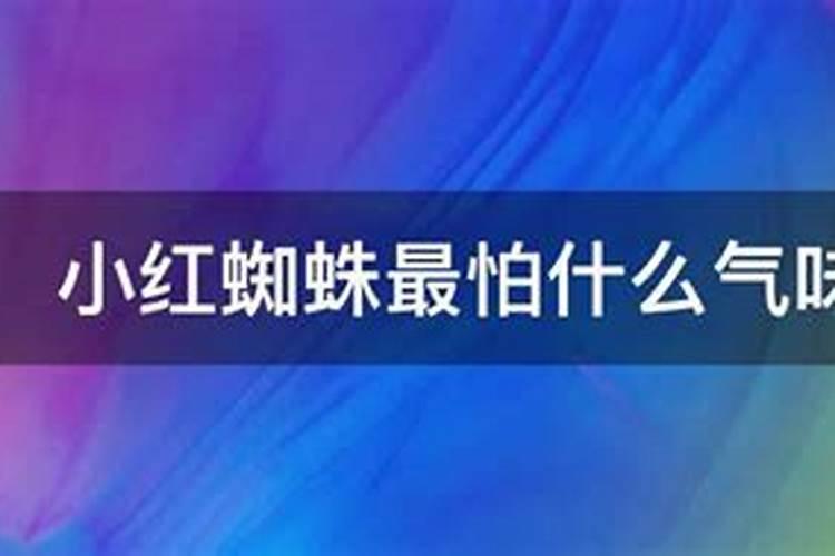 西瓜红蜘蛛怎么治