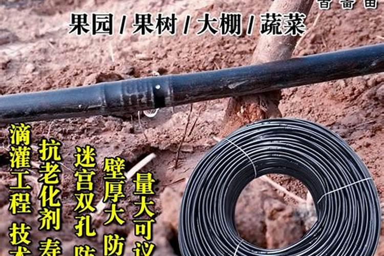 玉米滴灌每亩成本多少钱(玉米地滴灌造价)