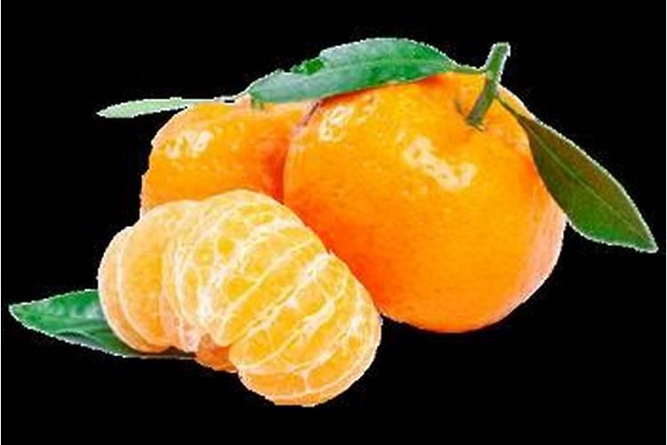 种植沃柑6个月适用放什么肥料