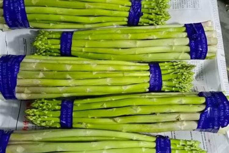 芦笋适合哪些地区种植