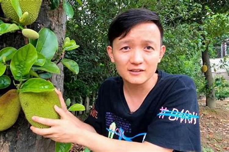 栽了二年的波萝蜜苗为什么不长？