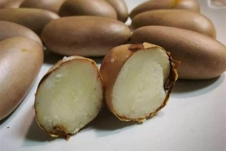 波萝密这个时候老掉叶是怎回事？
