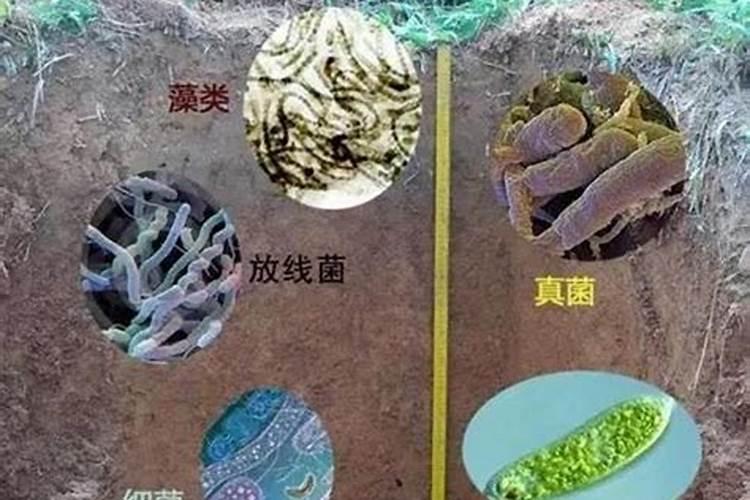 请教各位同学,腐植酸如果用量过大对土壤的负面影响吗？