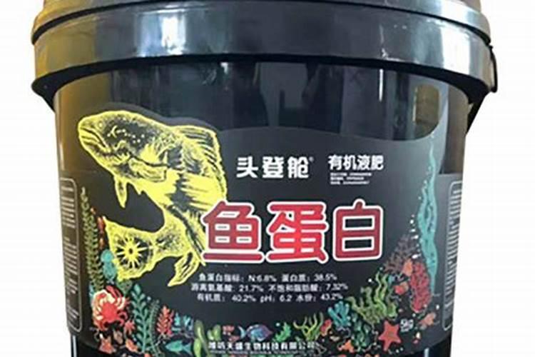 我们寿光人吃的那个“狗光鱼”学名叫什么啊