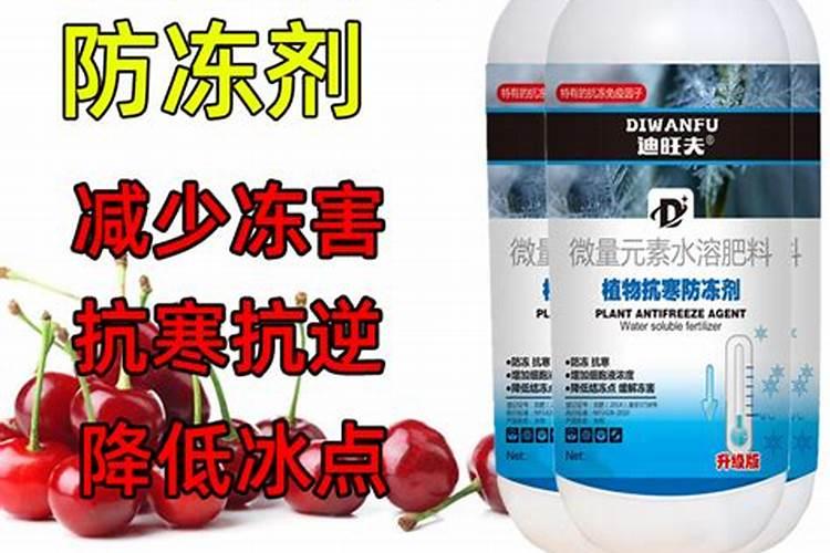 南方樱桃花期能不能喷磷酸二氢钾、糖醇钙和流体硼？
