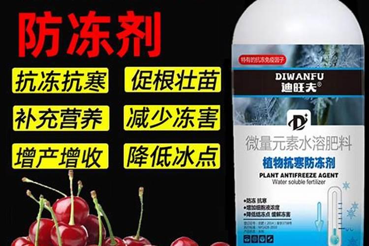 樱桃坐果率低想打点硼砂什么时间打最好打几遍？