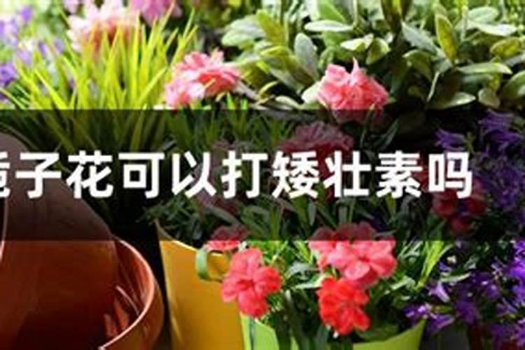 各位老师我的西兰花不是很绿怎么办有好办法吗