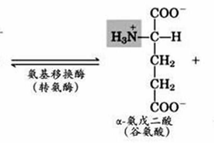 植物所需的三大营养元素为