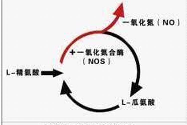 什么是氮肥？