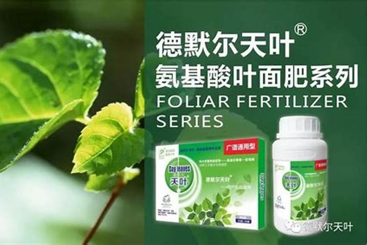 家庭天然硼肥有哪些