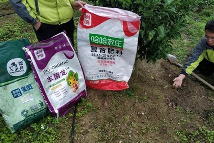 大丰收复合肥质量怎么样