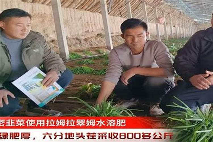 水溶肥桃树一亩用多少斤