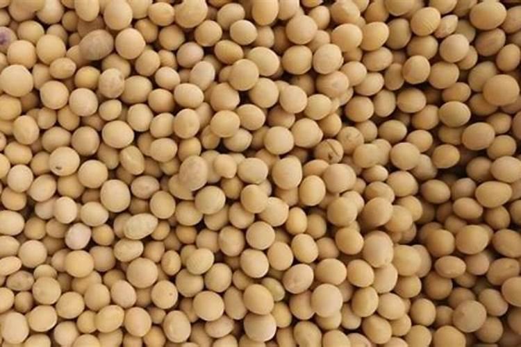 种植大豆应该如何施肥？大豆高产施肥技术!