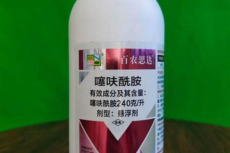 灭树烂根用什么药最好