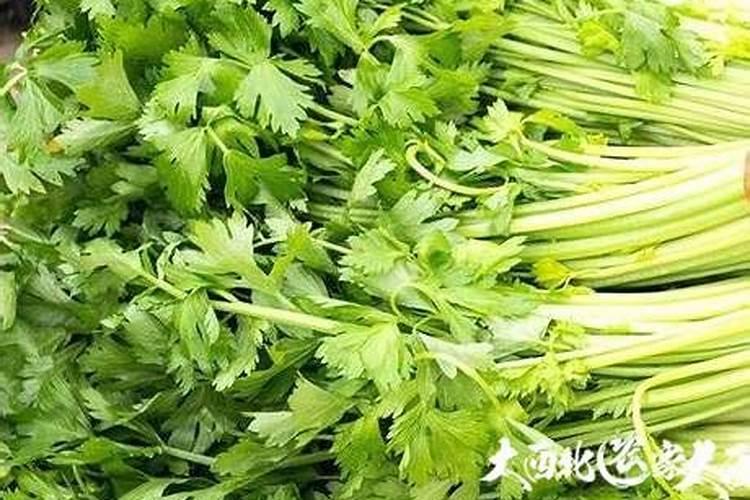 大连到南昌的最短距离的高速费用是多少