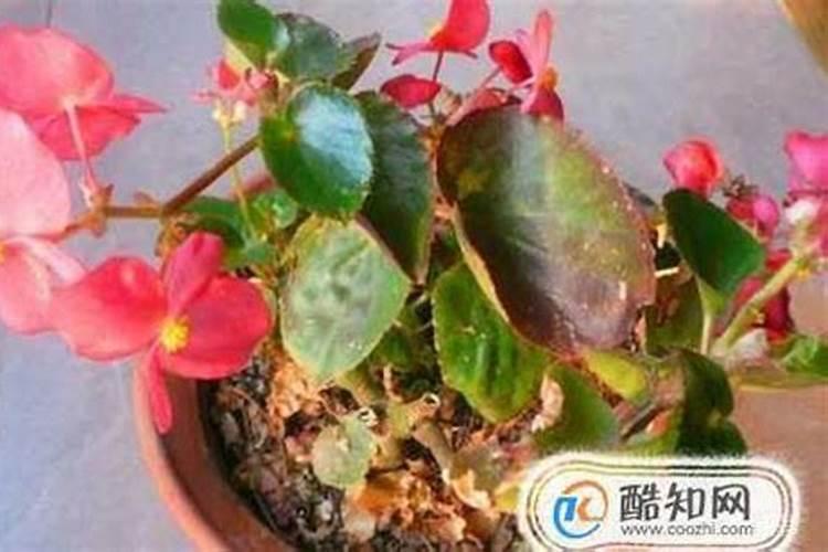 山西金麦田贸易有限公司怎么样？