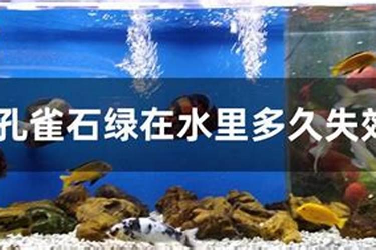 小雨可以撒施冲施肥吗？