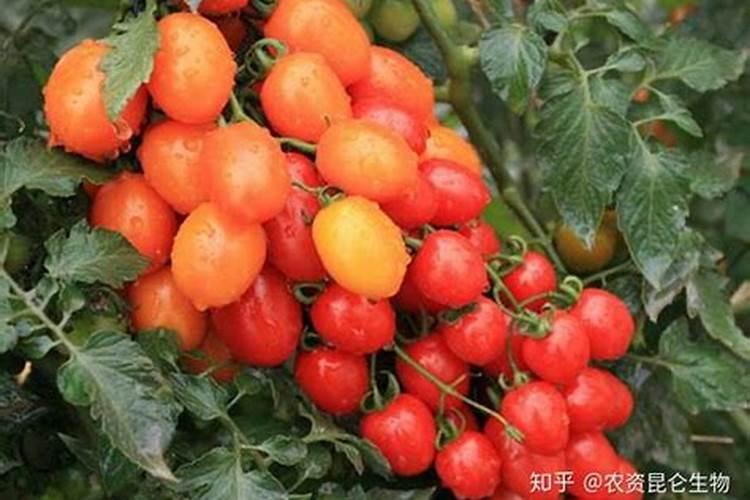 草原改良方法