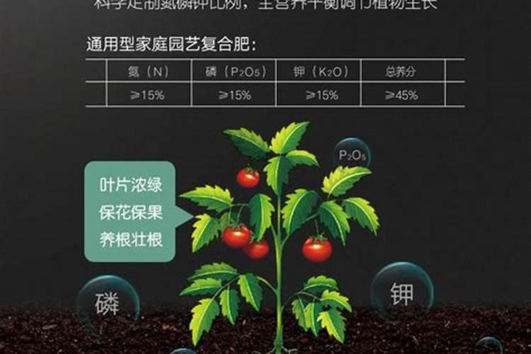 草莓要施什么肥啊
