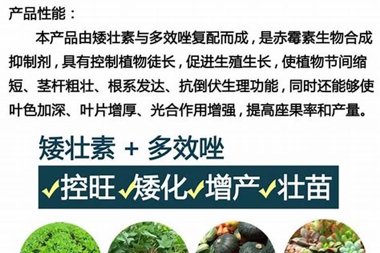 香蕉根系少用什么水溶肥好呢？