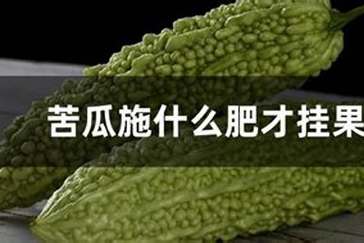 苦瓜施肥用什么肥料