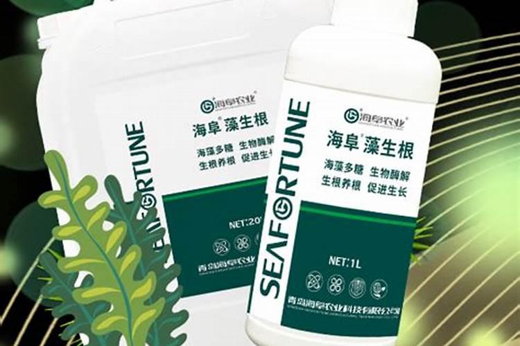 揭秘:海藻有机肥到底好不好？