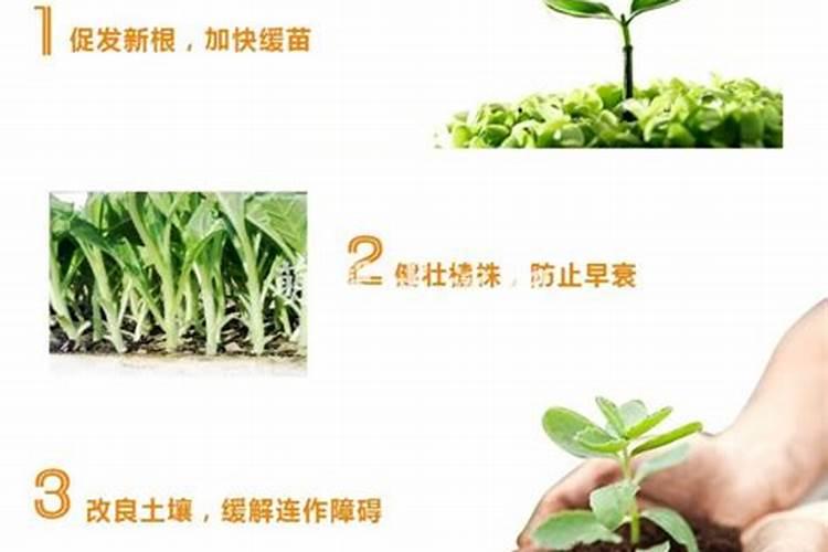 水溶肥的效果不太显著,应该怎样使用才能达到最佳的效果？