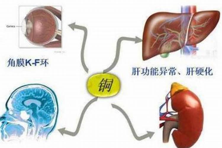 优质大量元素水溶肥怎么选？使用妙招有哪些？