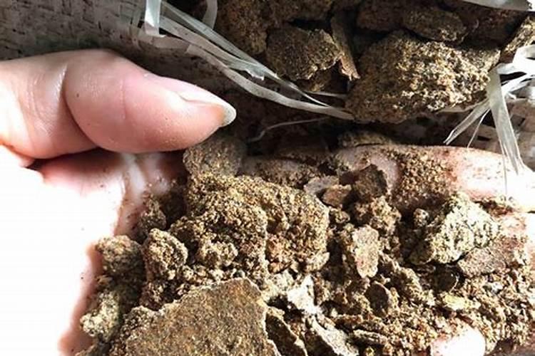 什么植物多施钾肥