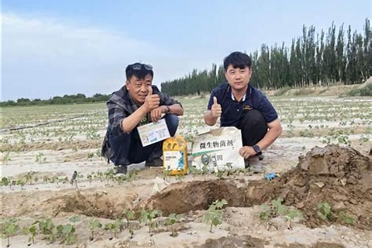 水溶肥怎么做