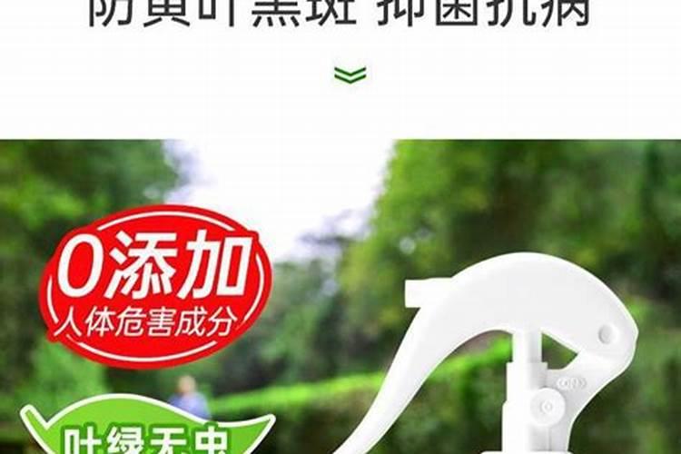 农药与叶面肥混用,哪几点千万要注意？
