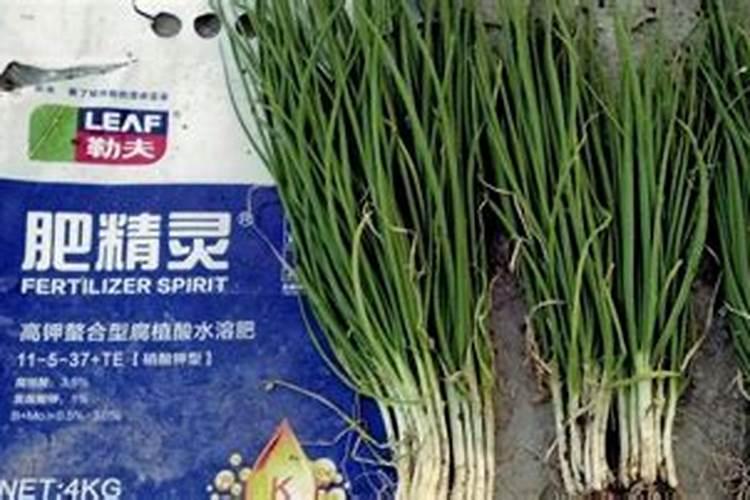 茶叶施肥用尿素行不行 什么时间施肥好
