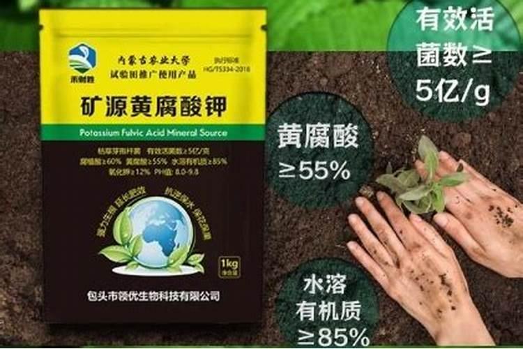 钾肥对茶树的作用