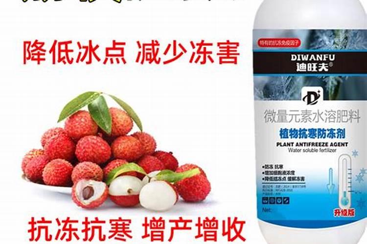 荔枝专用叶面肥什么好？