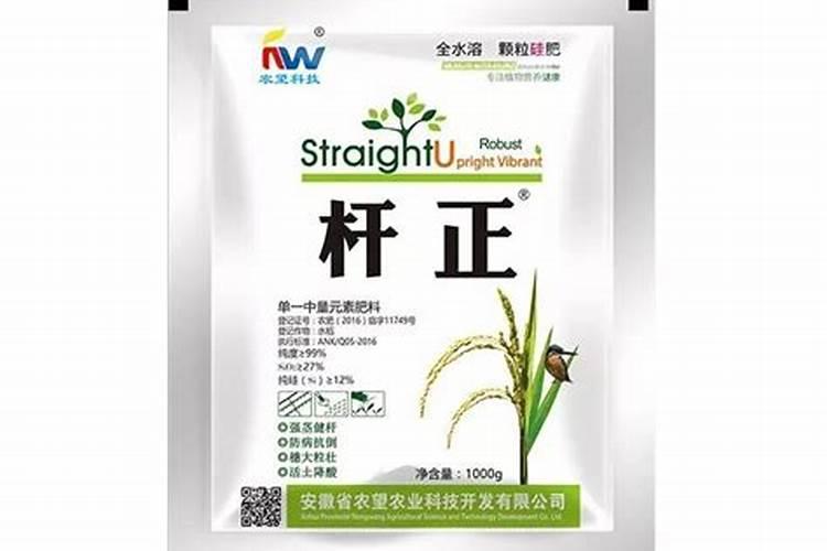安吉白茶的种植技术有哪些？