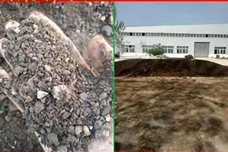 豆饼可以直接撒土里做肥料吗 豆饼可以直接撒土里当做肥料处理吗