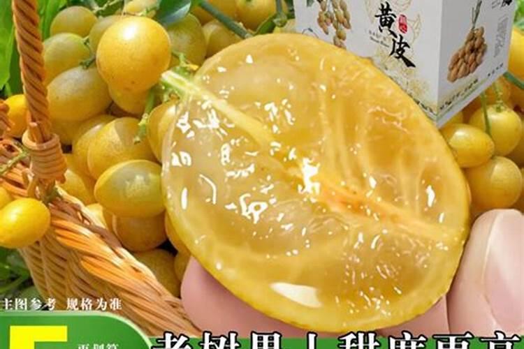 黄皮果如何施肥