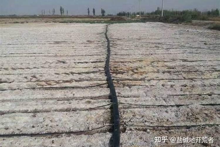 冲施肥用什么钾肥好