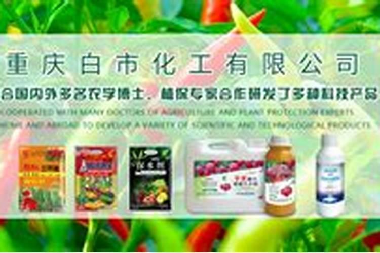 欢能肥厂家是正规厂吗