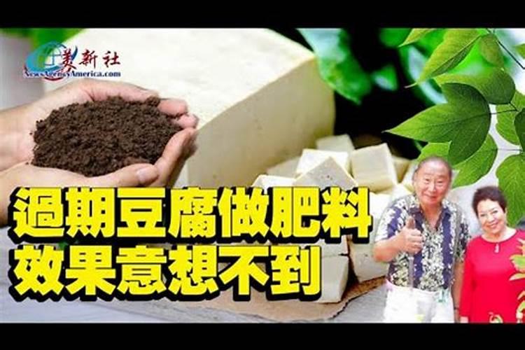 豆腐变质了能当花肥吗