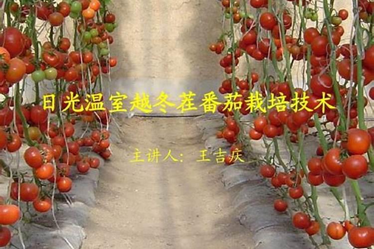 成都元德硅胶制品有限公司怎么样？