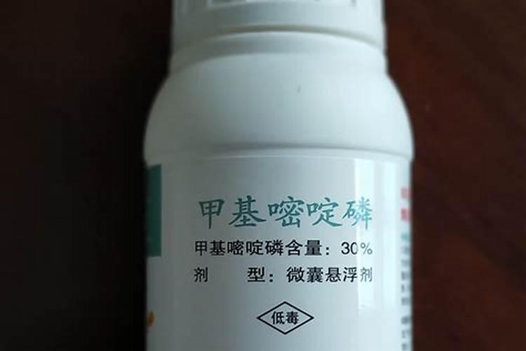 床上有黑色硬壳小虫,会咬人,有图