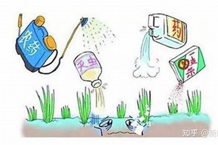 芸苔素多久喷一次