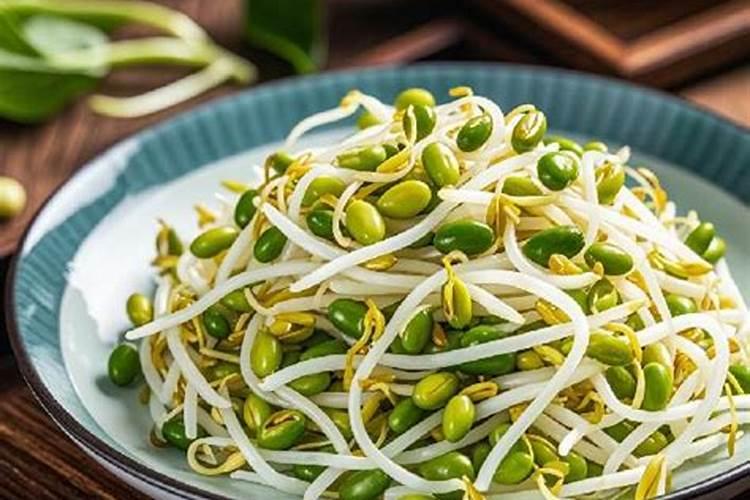 怎么种绿豆芽盆栽