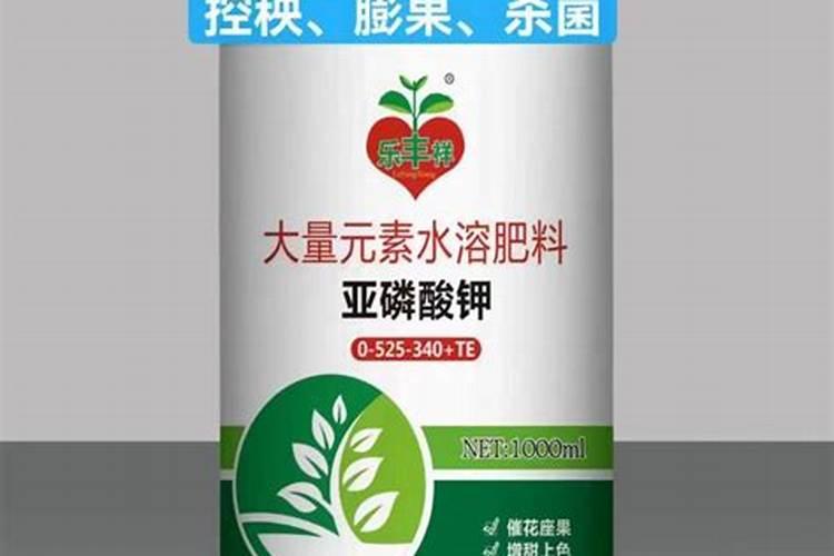 叶面肥是什么肥料 给你详细讲解