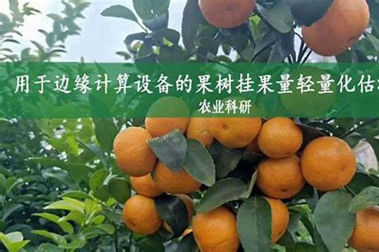 果树喷流体硼超标达到了危害怎么补救？